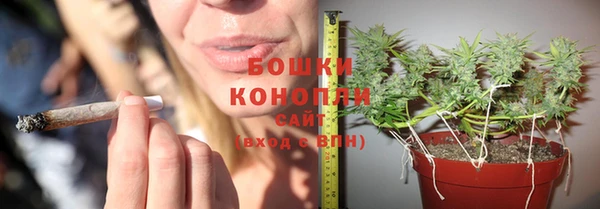 винт Протвино