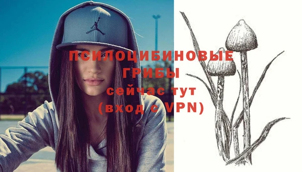 винт Протвино