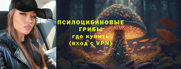 стаф Осинники