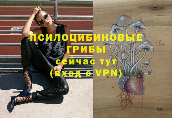 винт Протвино