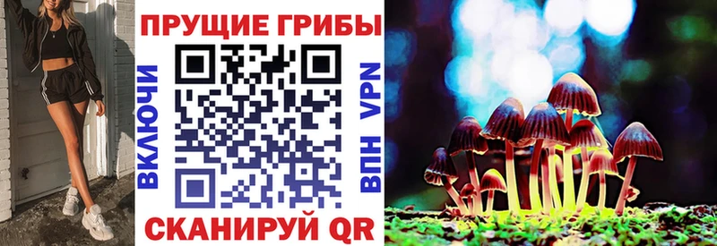 Псилоцибиновые грибы прущие грибы  Удачный 